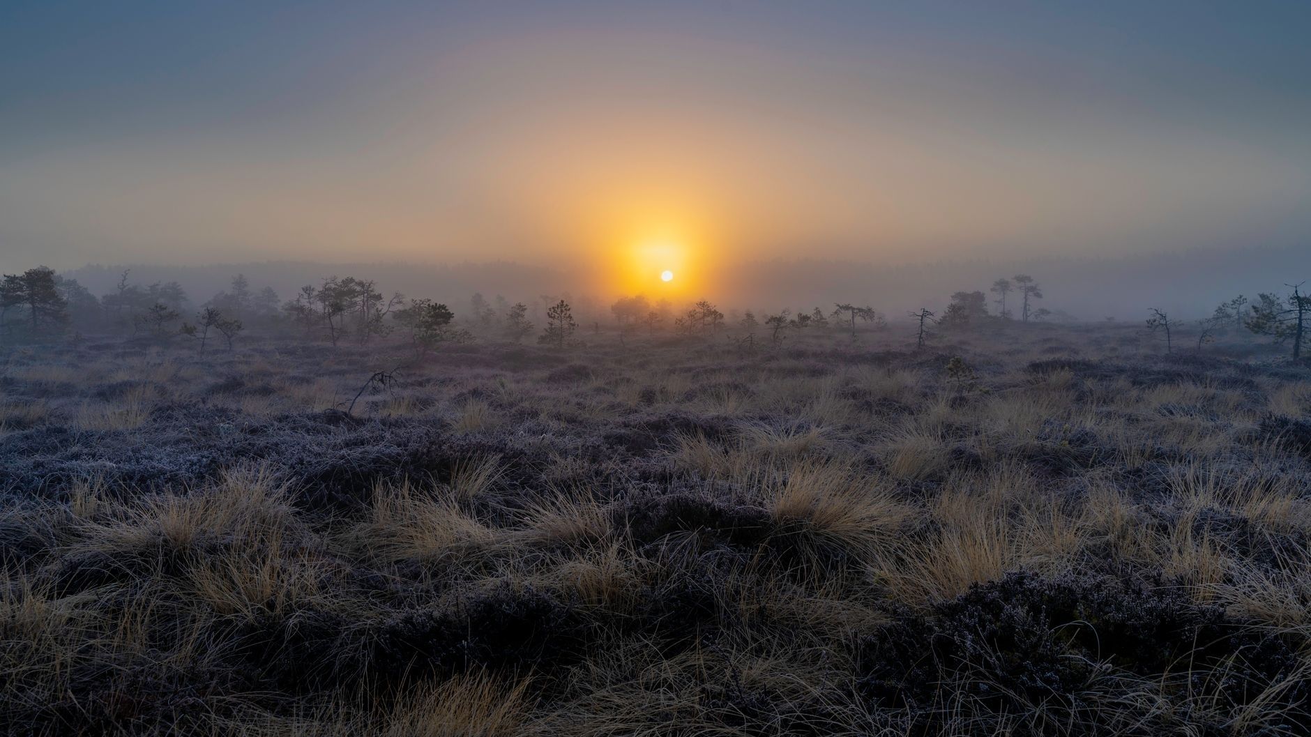 Brume à l