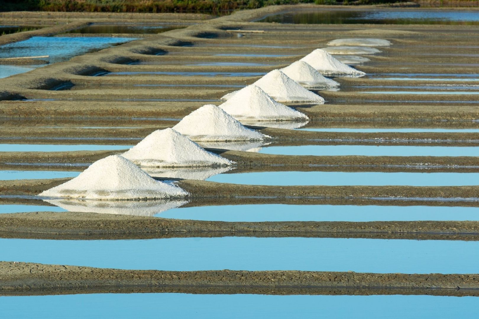 Tas de sel blanc alignés entre les œillets d